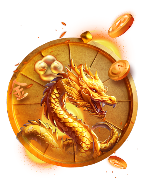 Arena di Alto Livello | Giornaliero